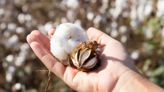 MECHE EN COTON MECHE EN COTON
